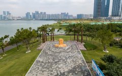 总书记考察前海引发前海干部群众热烈反响